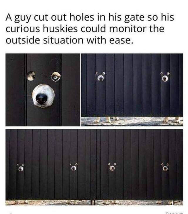 Bildschirmarbeiter - Picdump KW08 2022