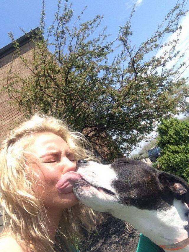 Bildschirmarbeiter - Picdump KW08 2022