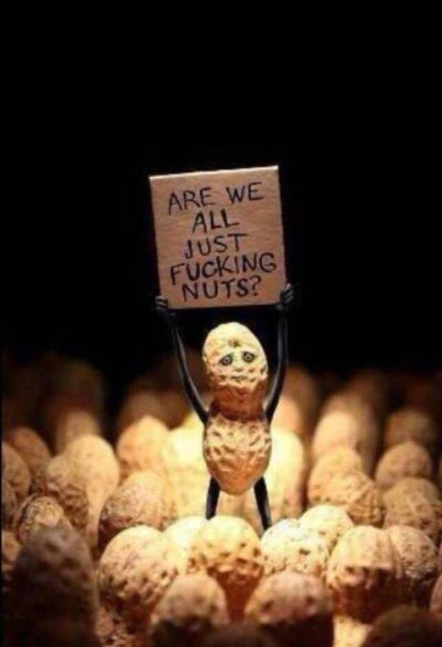 Bildschirmarbeiter - Picdump KW08 2022