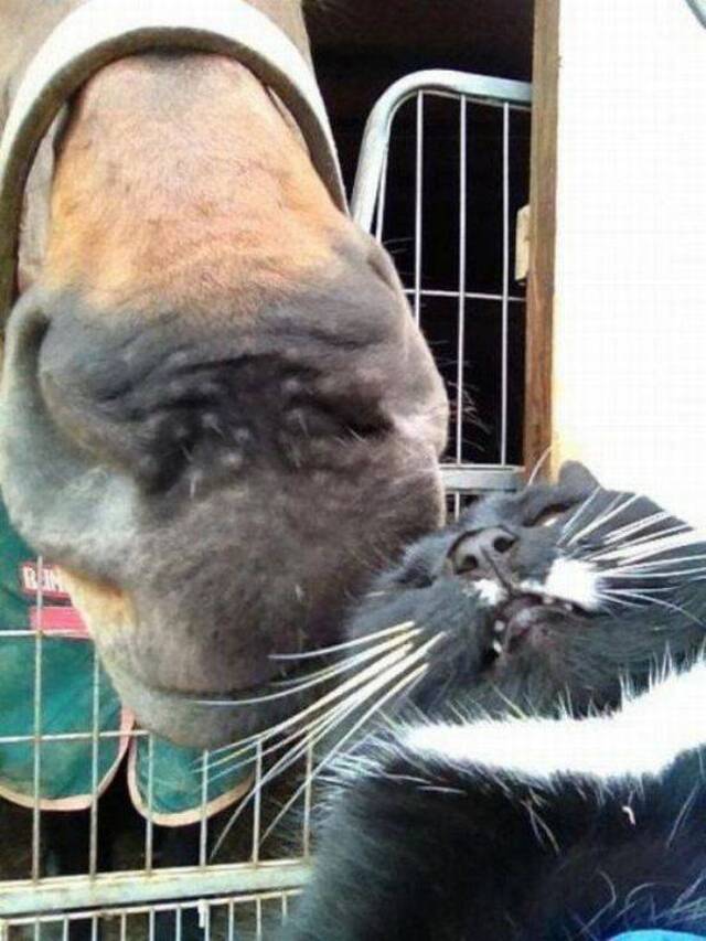 Bildschirmarbeiter - Picdump KW08 2022