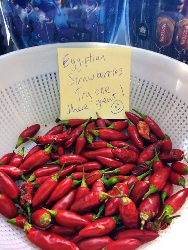 Bildschirmarbeiter - Picdump KW08 2022