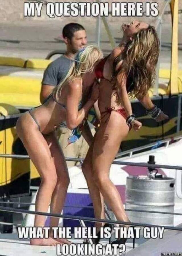 Bildschirmarbeiter - Picdump KW08 2022