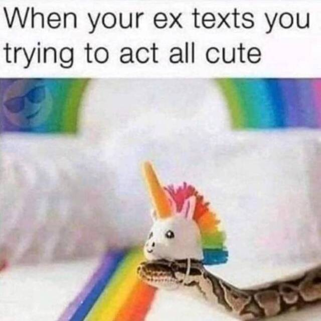 Bildschirmarbeiter - Picdump KW08 2022