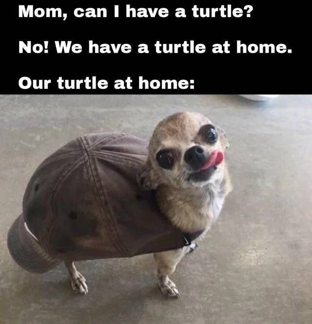 Bildschirmarbeiter - Picdump KW08 2022