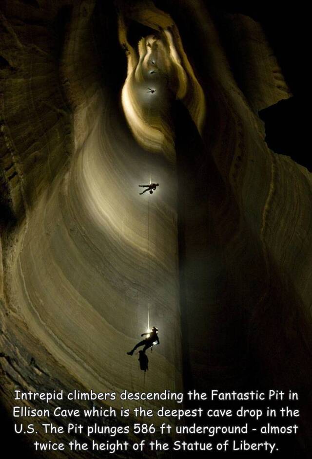 Bildschirmarbeiter - Picdump KW08 2022