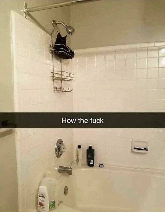 Bildschirmarbeiter - Picdump KW08 2022