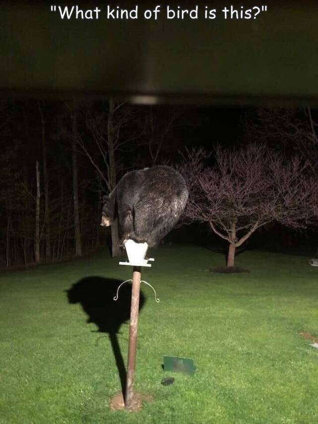 Nachschlag - Bildschirmarbeiter - Picdump KW09 2022