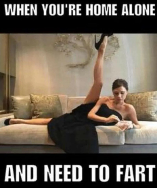 Nachschlag - Bildschirmarbeiter - Picdump KW09 2022