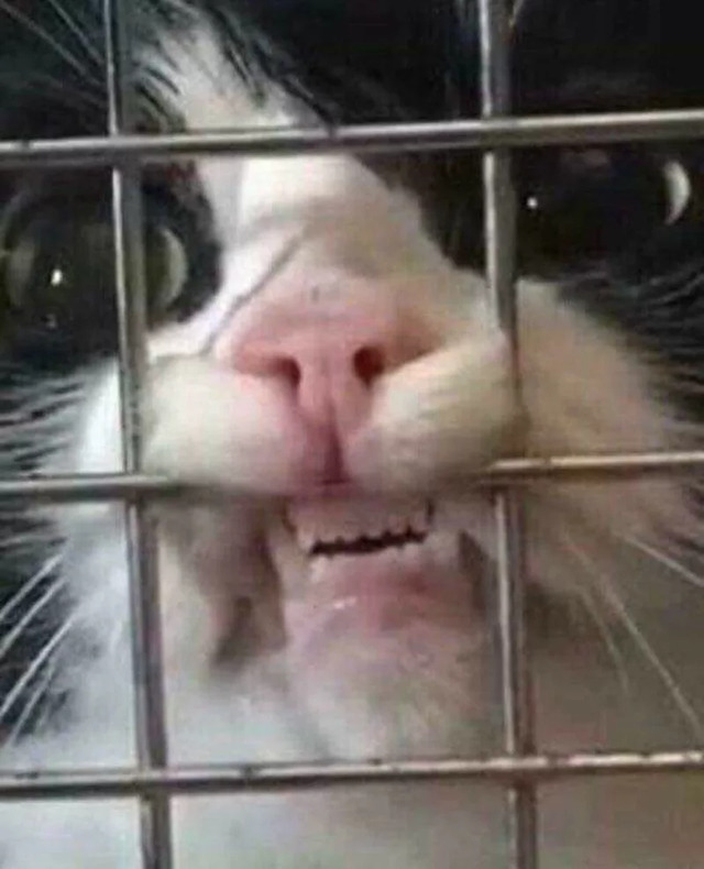 Nachschlag - Bildschirmarbeiter - Picdump KW09 2022