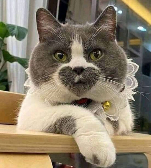 Nachschlag - Bildschirmarbeiter - Picdump KW09 2022