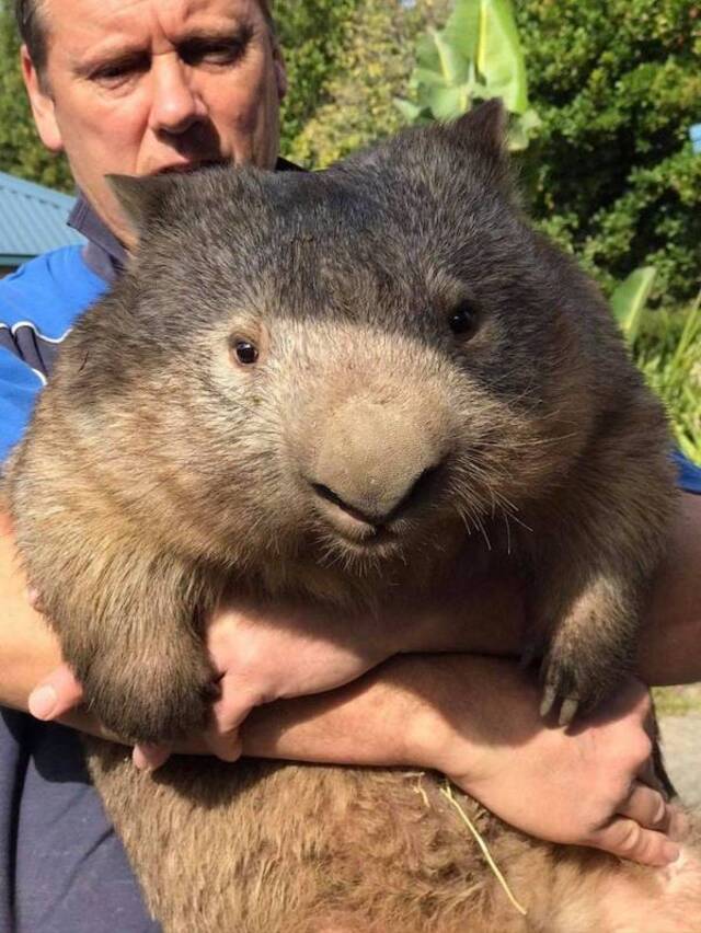 Nachschlag - Bildschirmarbeiter - Picdump KW09 2022