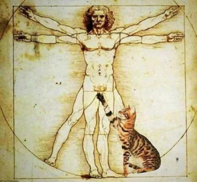 Bildschirmarbeiter - Picdump KW09 2022