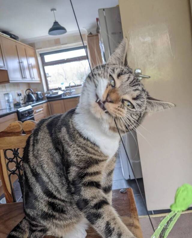 Bildschirmarbeiter - Picdump KW09 2022