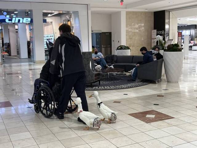 Bildschirmarbeiter - Picdump KW09 2022