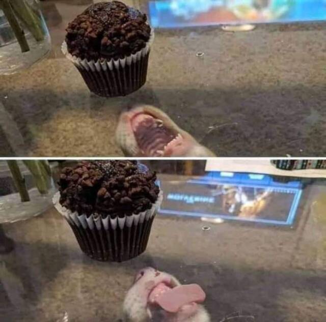 Bildschirmarbeiter - Picdump KW09 2022