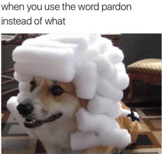 Bildschirmarbeiter - Picdump KW09 2022