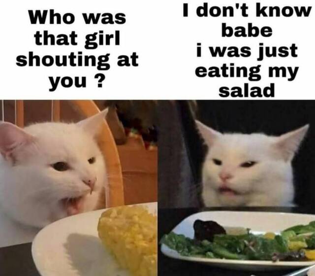 Bildschirmarbeiter - Picdump KW09 2022