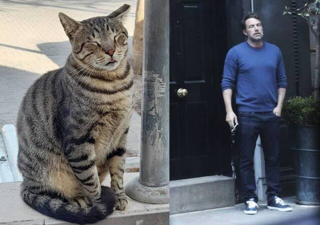 Bildschirmarbeiter - Picdump KW09 2022