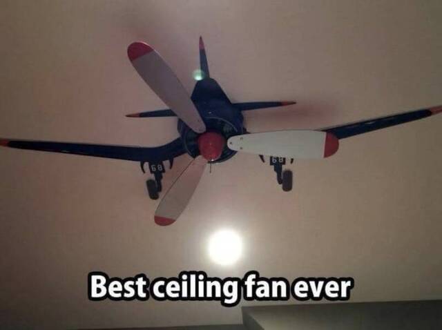 Bildschirmarbeiter - Picdump KW09 2022