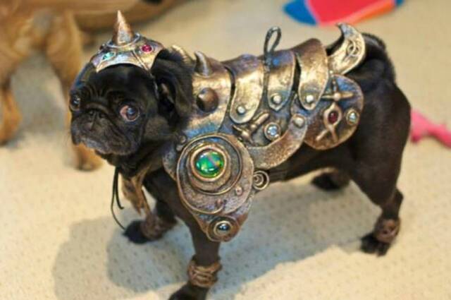 Bildschirmarbeiter - Picdump KW09 2022