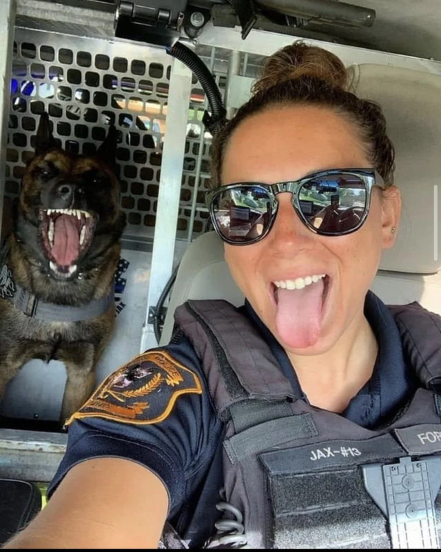 Bildschirmarbeiter - Picdump KW10 2021