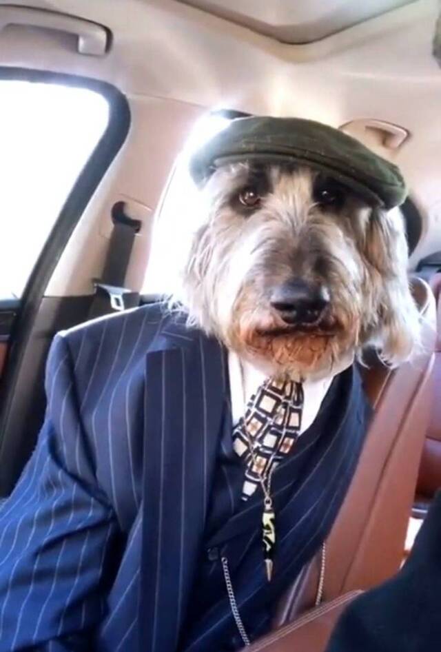 Bildschirmarbeiter - Picdump KW10 2021