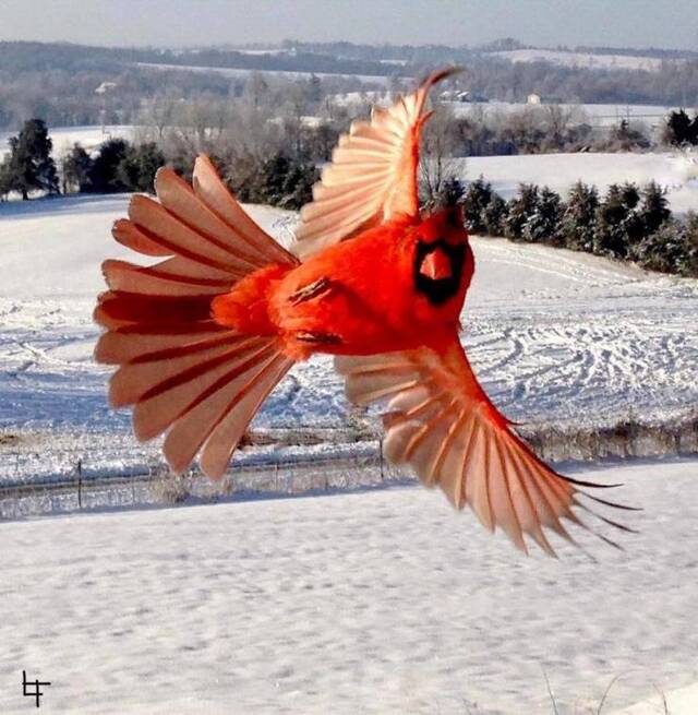 Bildschirmarbeiter - Picdump KW10 2021