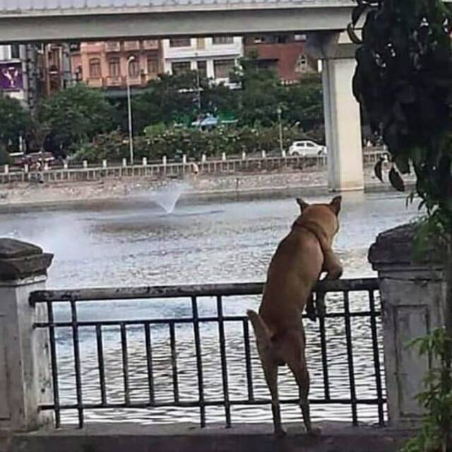 Bildschirmarbeiter - Picdump KW10 2021