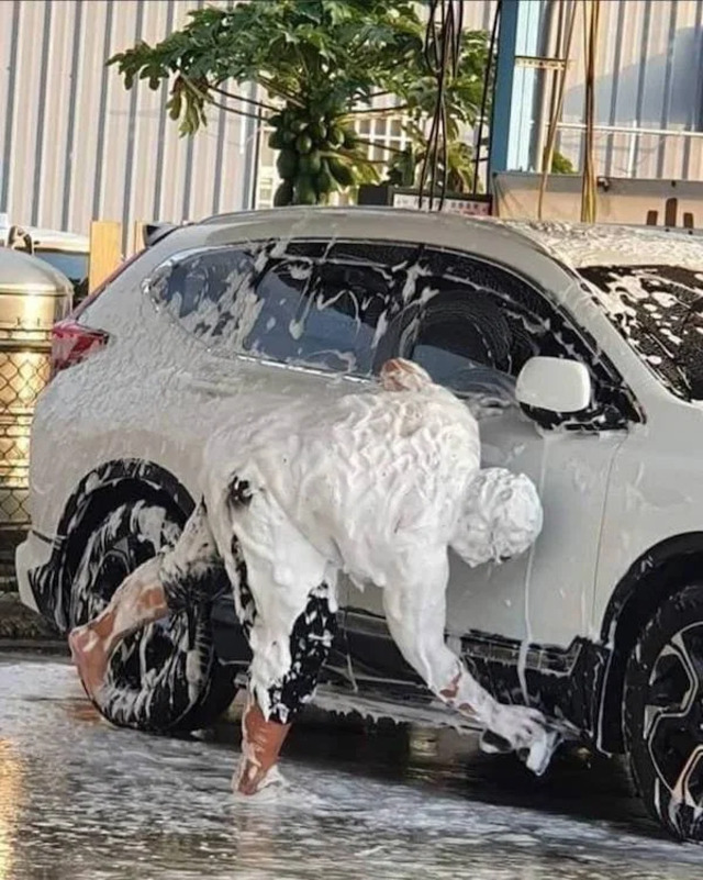 Bildschirmarbeiter - Picdump KW10 2021