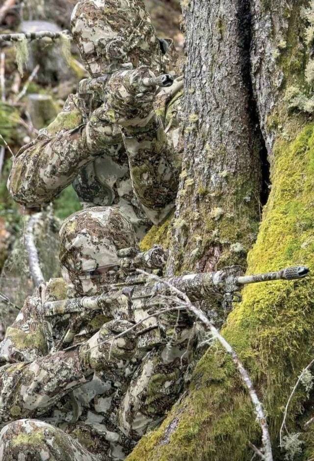 Bildschirmarbeiter - Picdump KW10 2021