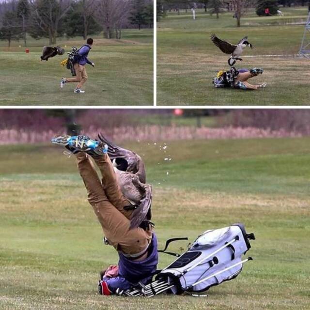 Bildschirmarbeiter - Picdump KW10 2021