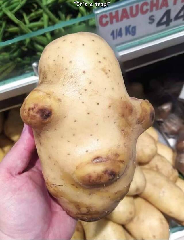 Bildschirmarbeiter - Picdump KW10 2021