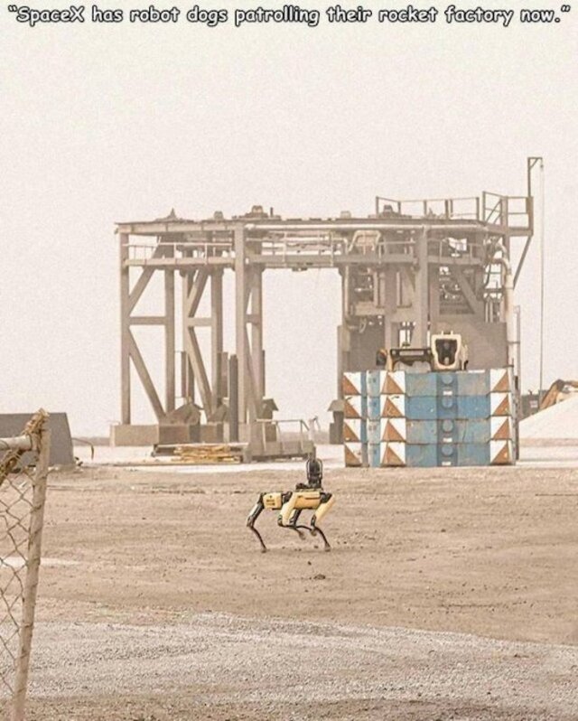 Bildschirmarbeiter - Picdump KW10 2021