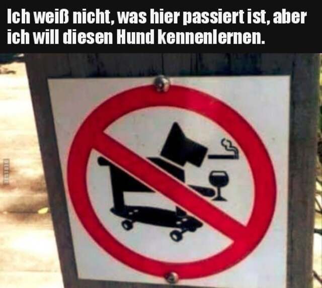 Bildschirmarbeiter - Picdump KW 10/2022