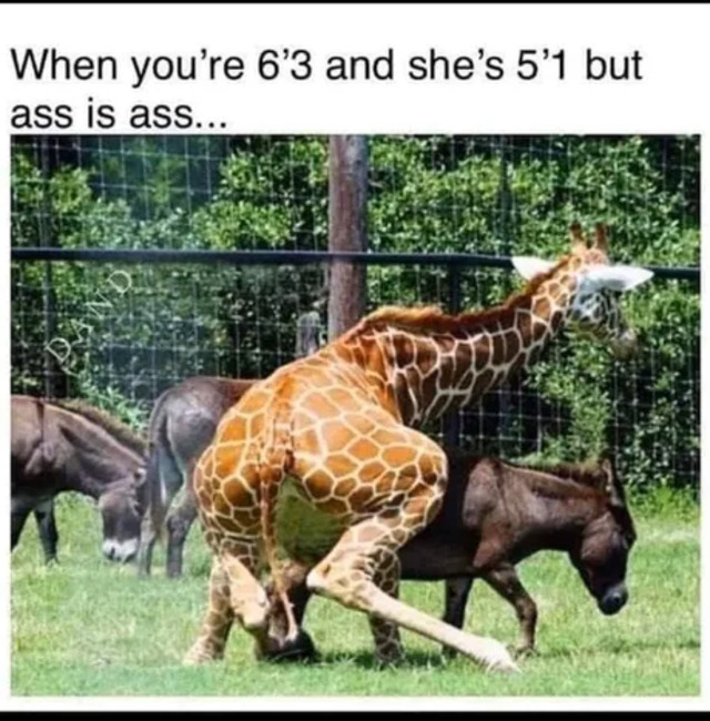 Bildschirmarbeiter - Picdump KW 10/2022