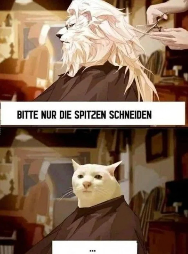 Bildschirmarbeiter - Picdump KW 10/2022