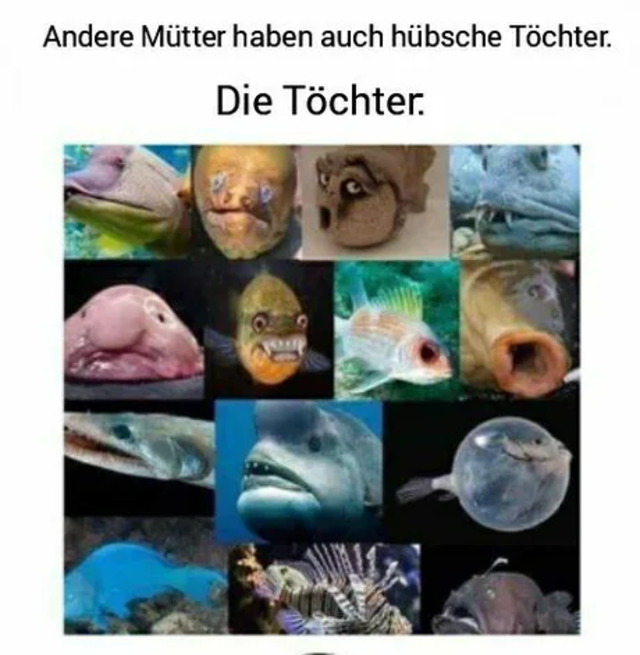 Bildschirmarbeiter - Picdump KW 10/2022