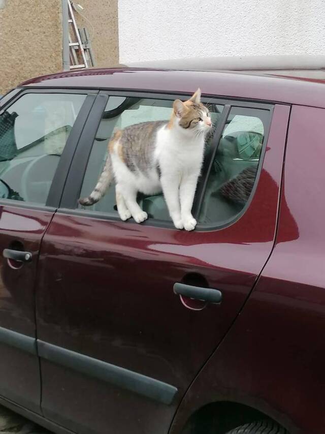 Bildschirmarbeiter - Picdump KW 10/2022