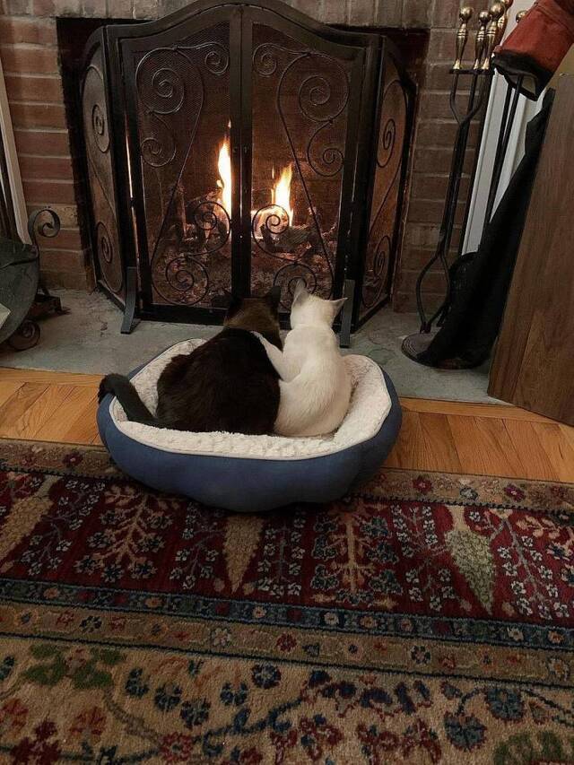 Bildschirmarbeiter - Picdump KW 10/2022