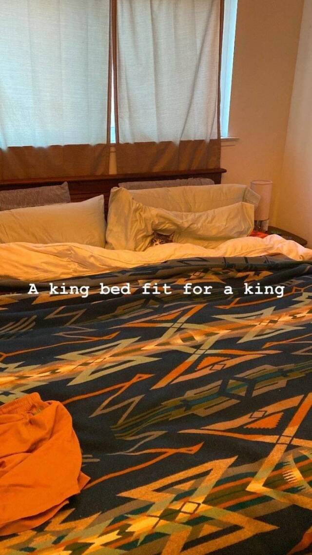 Bildschirmarbeiter - Picdump KW 10/2022