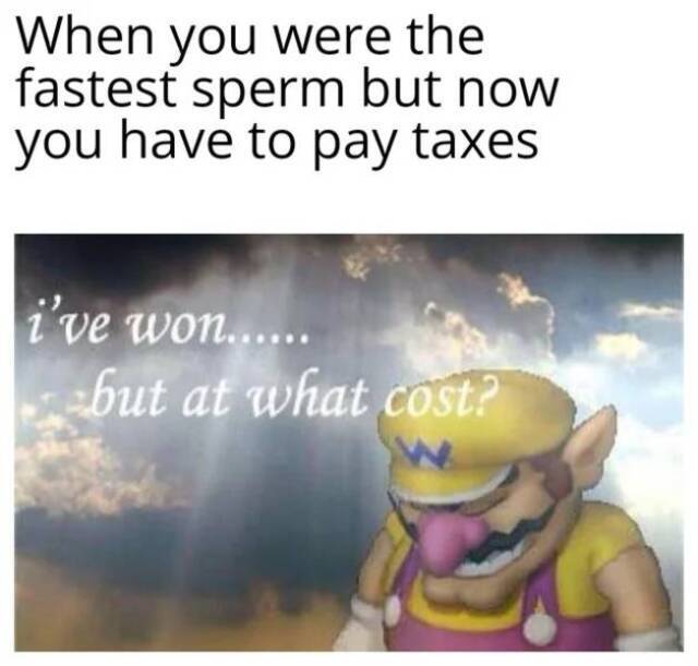 Bildschirmarbeiter - Picdump KW 10/2022