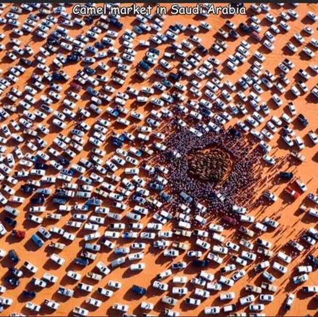 Nachschlag - Bildschirmarbeiter - Picdump KW 10/2022