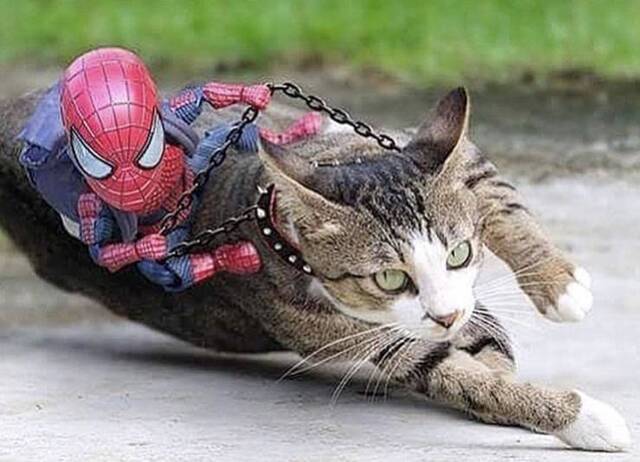 Nachschlag - Bildschirmarbeiter - Picdump KW 10/2022