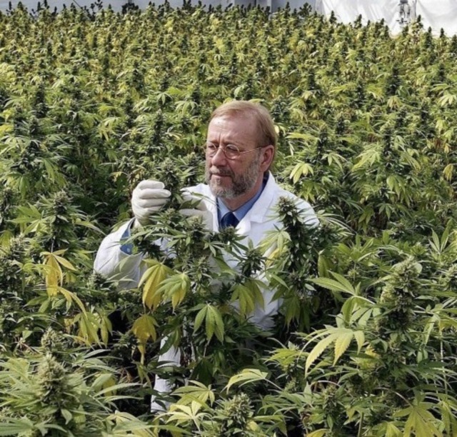 Nachschlag - Bildschirmarbeiter - Picdump KW 10/2022