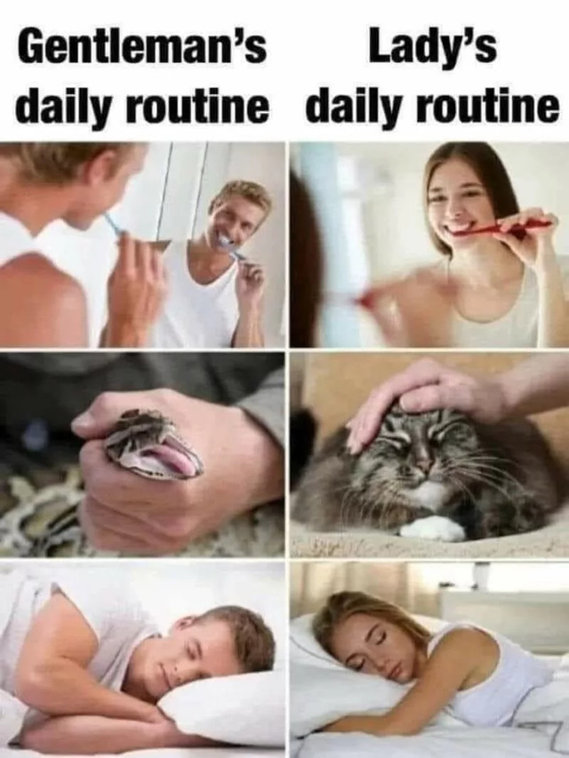 Nachschlag - Bildschirmarbeiter - Picdump KW 10/2022