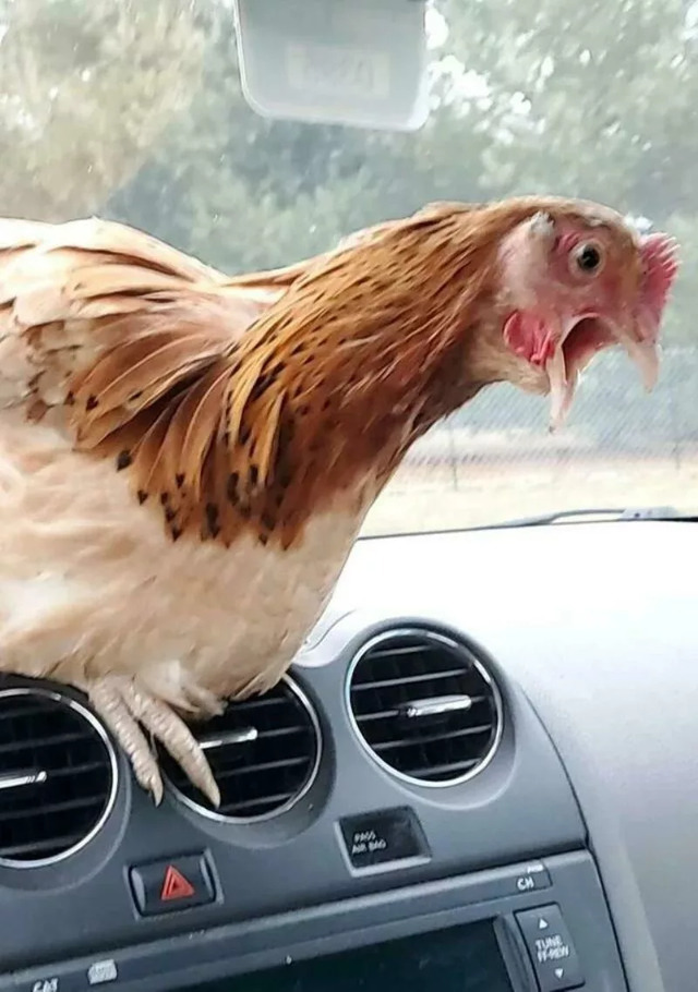 Nachschlag - Bildschirmarbeiter - Picdump KW 10/2022