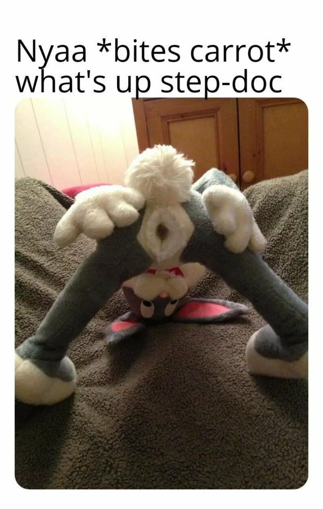 Nachschlag - Bildschirmarbeiter - Picdump KW 10/2022