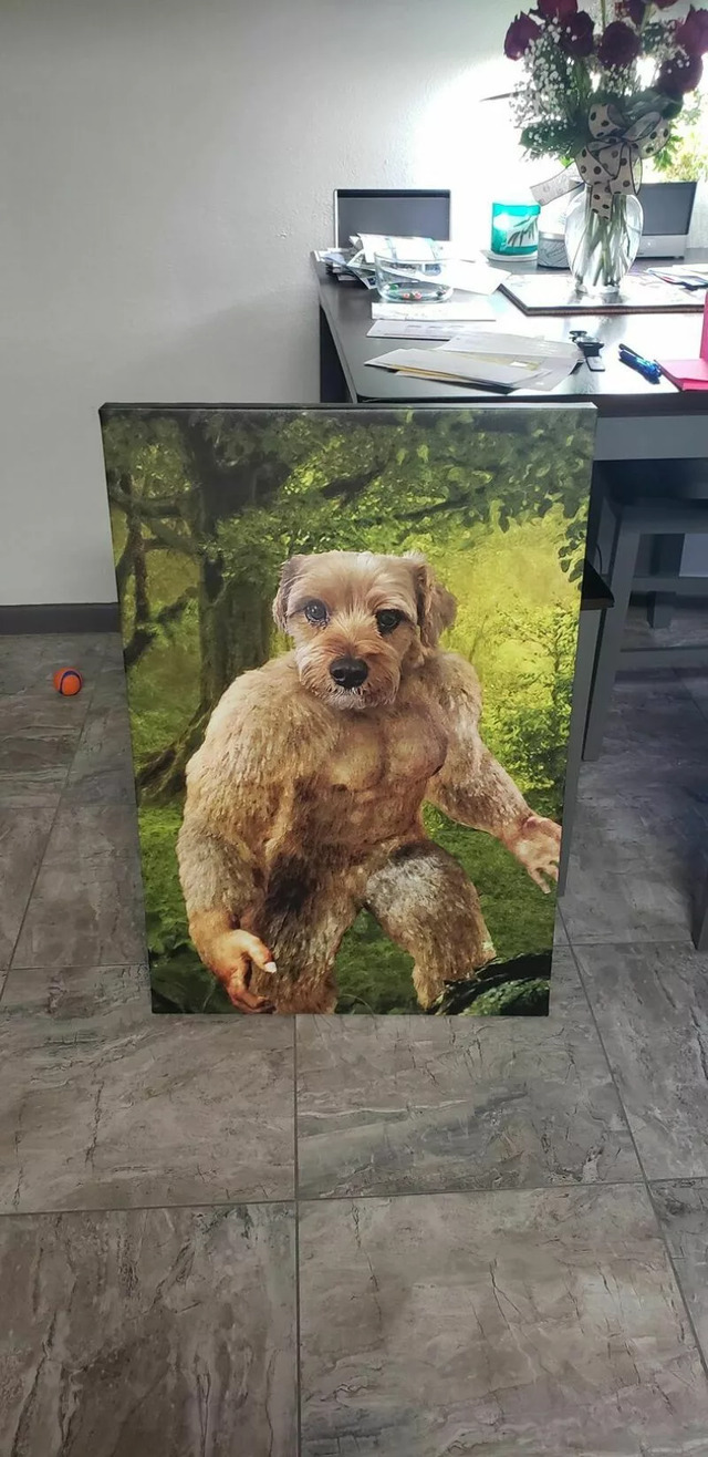 Nachschlag - Bildschirmarbeiter - Picdump KW 10/2022