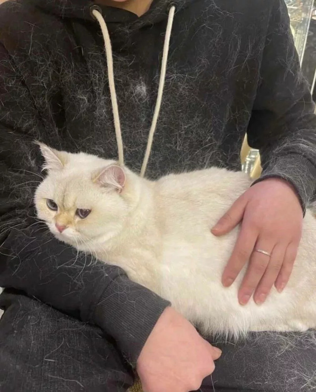 Nachschlag - Bildschirmarbeiter - Picdump KW 10/2022