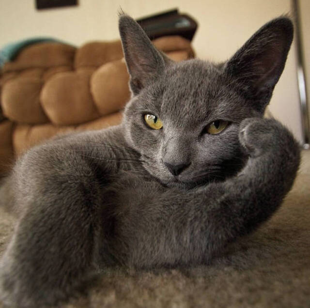 Nachschlag - Bildschirmarbeiter - Picdump KW 10/2022